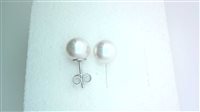 Orecchini Ticchi Maurizio Donna AKOYA in Oro bianco Perla OB00011 TICCHI GIOIELLI SRL - OB00010